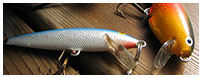 Forfaits Pêche Lac Ontario